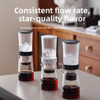 Small drip filter ice brewing coffee pot appliance